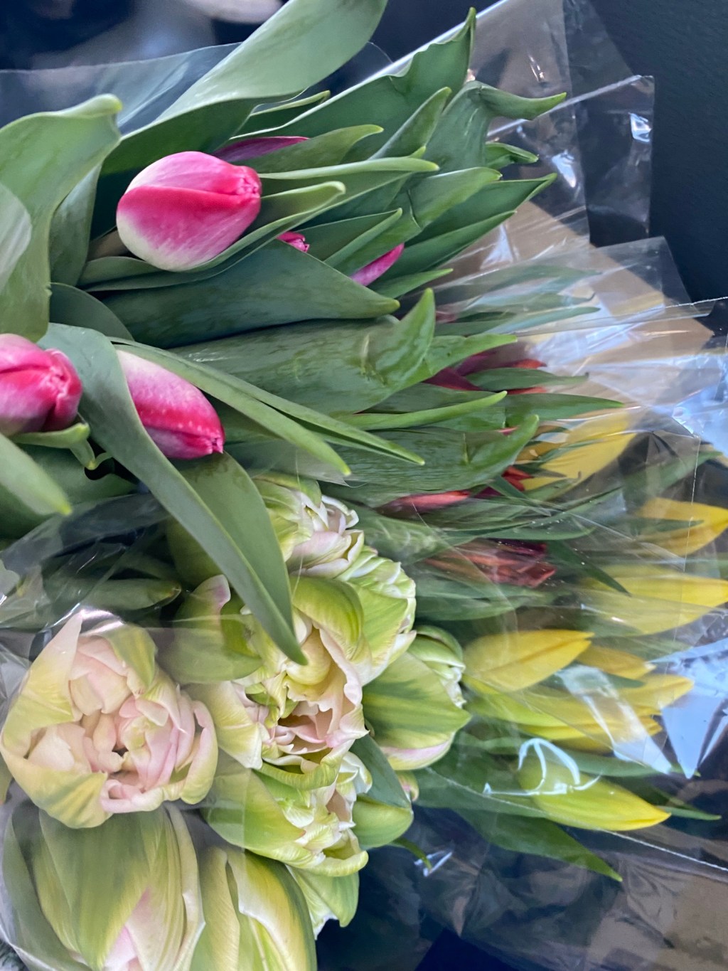 Dating in the Adult&nbsp;World